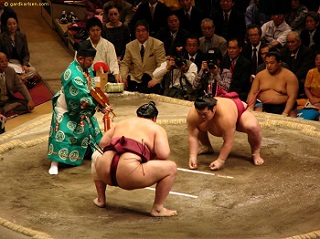 Sumo in japan