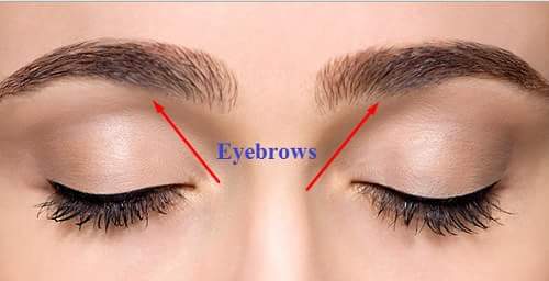eyebrows hindi eyes in hindi